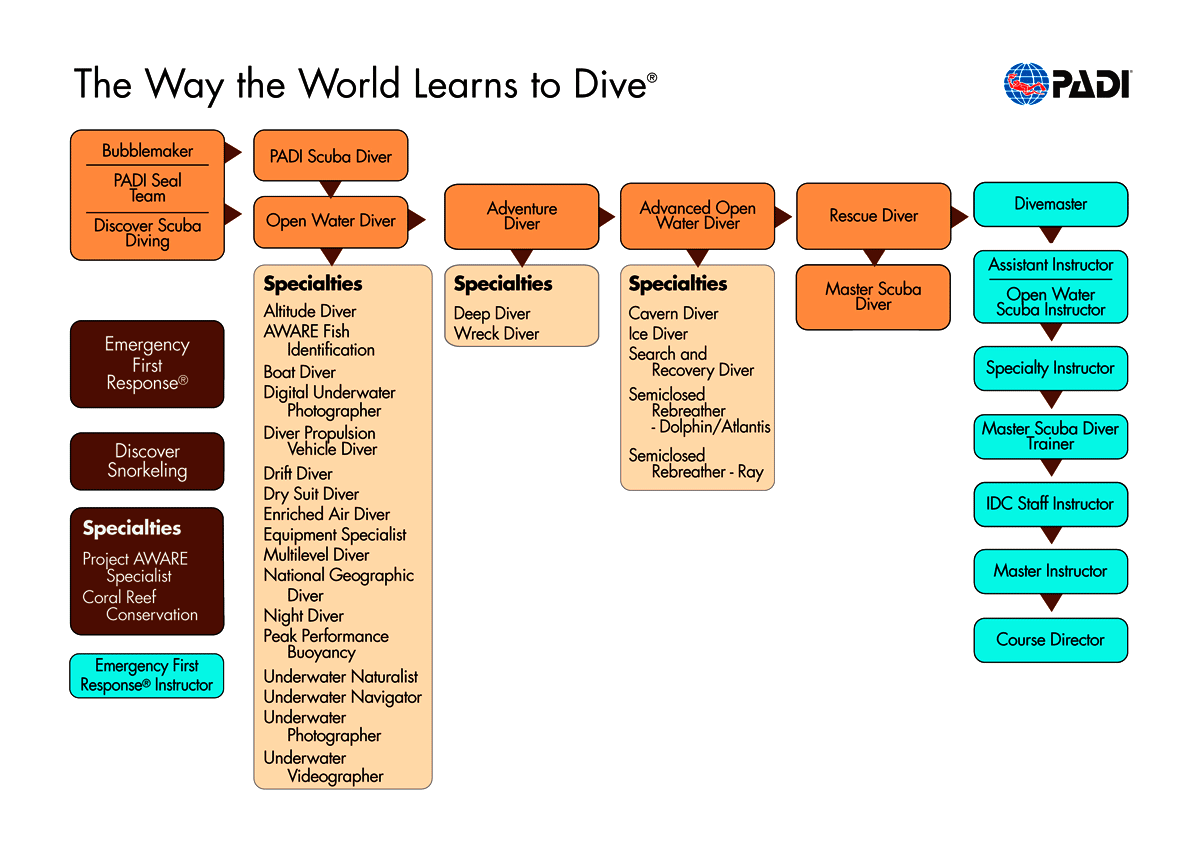PADI Diving Education Chart