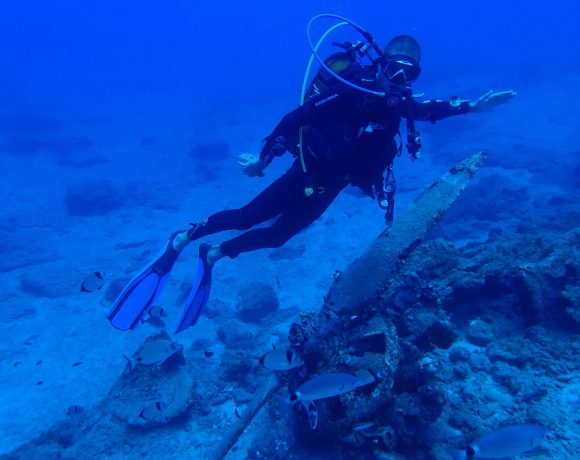 PLEORA Diving site