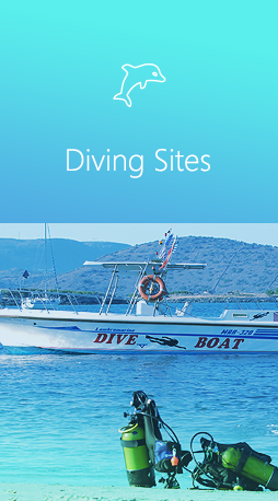 Live the freedom  that scuba dive experience has to offer.
