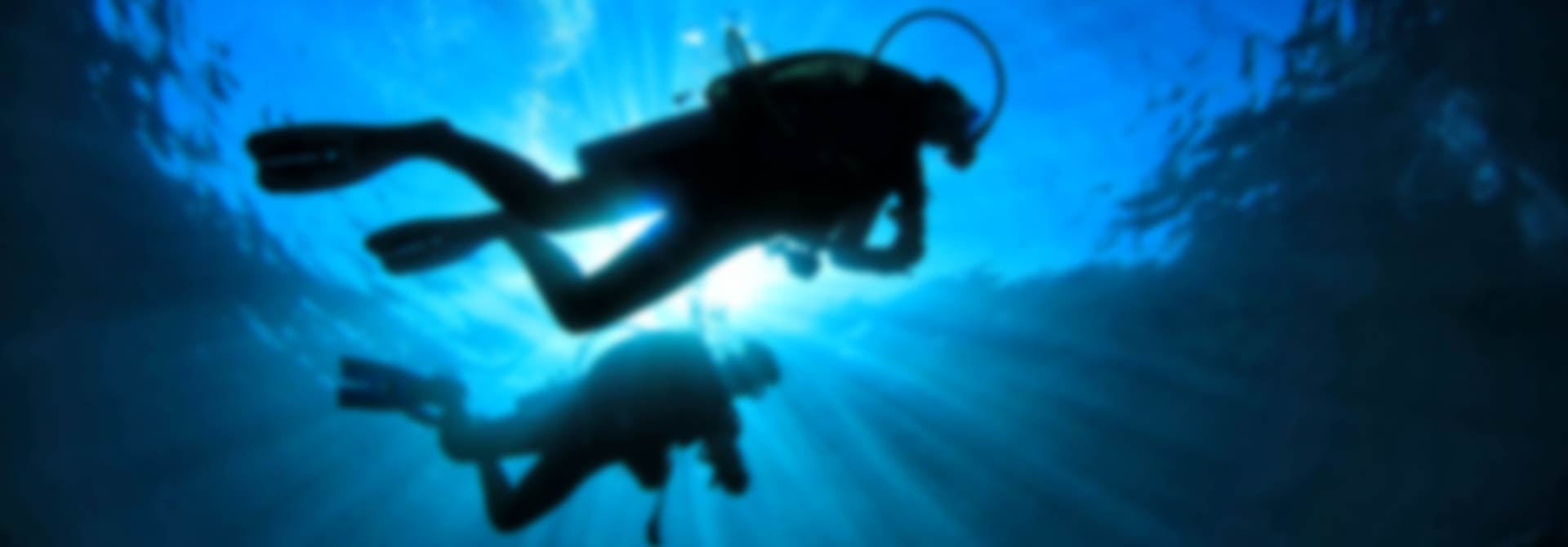 Live the freedom  that scuba dive experience has to offer.